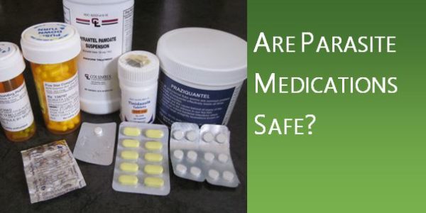 Are Parasite Medications Safe