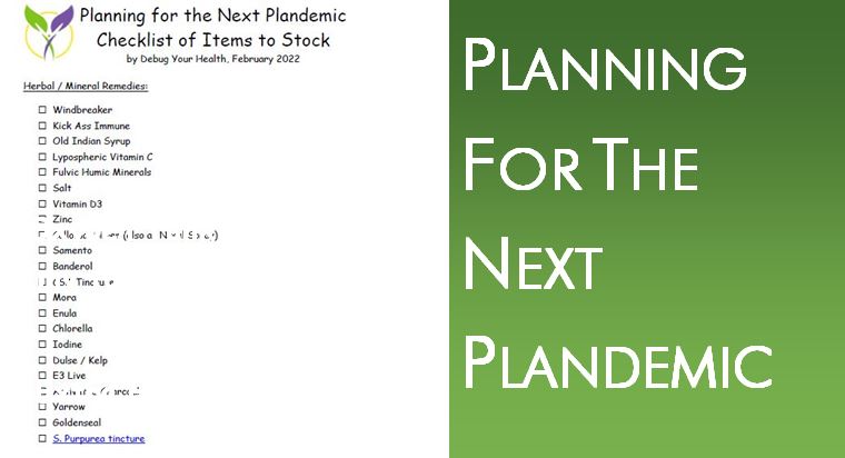 Planning for the Next Plandemic